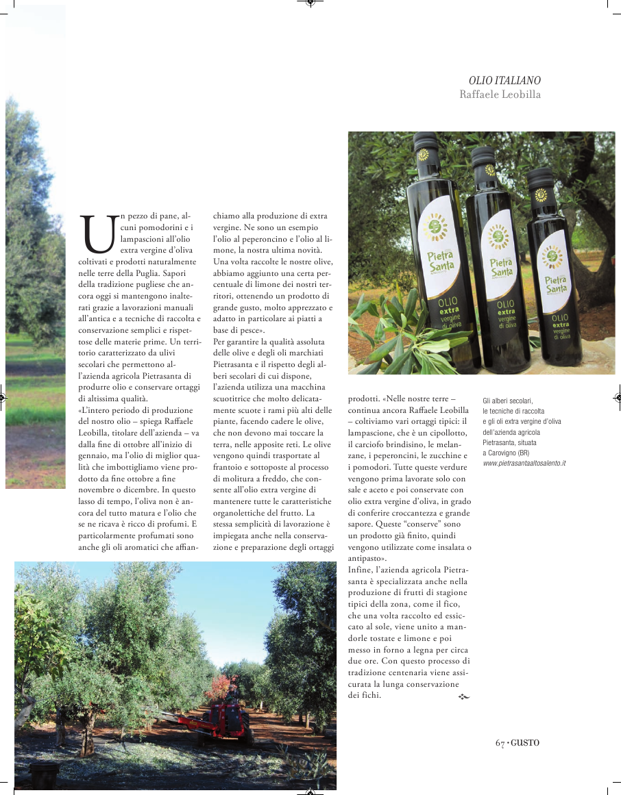 olio italiano pietrasanta con bassa acidità