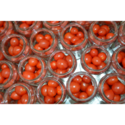 Pomodoro Fiaschetto di Torre Guaceto in salsa