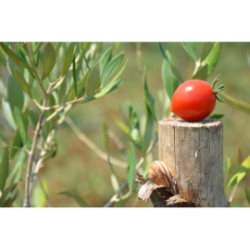 Confezione da 48 vasetti di passata di pomodoro fiaschetto