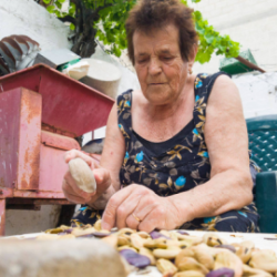 Fave secche biologiche di Torre Guaceto