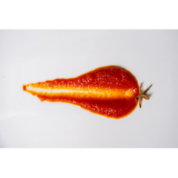 Fiasketchup di pomodoro Fiaschetto di Torre Guaceto