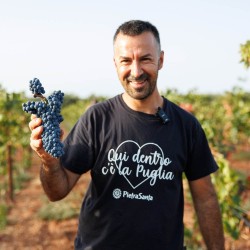 Vino rosso pugliese: Torriserva, il rosso biologico dell’Alto Salento
