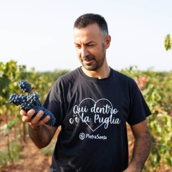 Vino rosato pugliese: Sadimare, il rosato biologico dell’Alto Salento