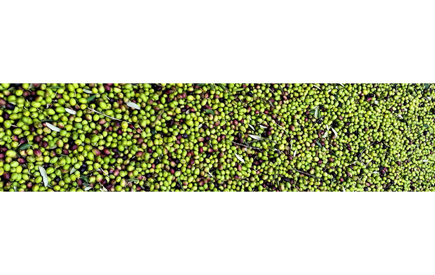 Organic extra virgin olive oil