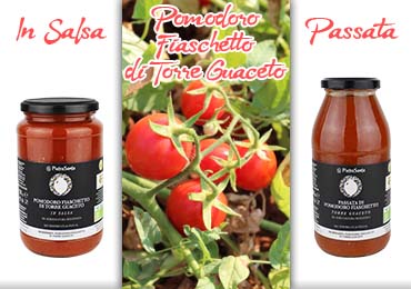 Pomodoro Fiaschetto di Torre Guaceto