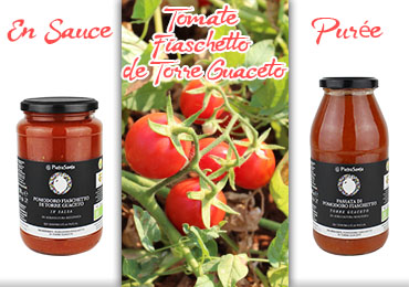 Pomodoro Fiaschetto di Torre Guaceto